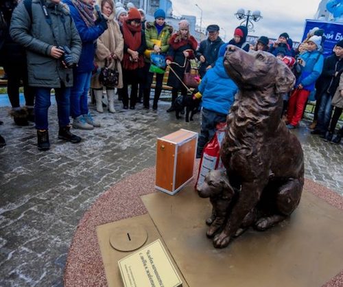Памятник бездомной собаке в Якутске