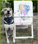 Собака художник